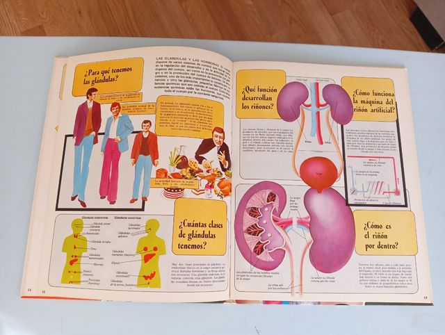 El cuerpo humano