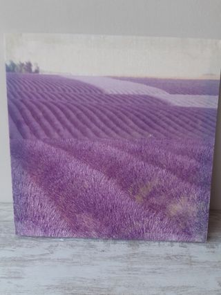 Set 2 cuadros lavanda estilo vintage