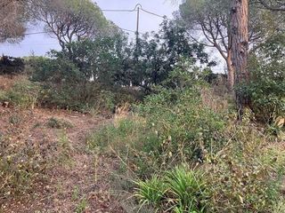 Terreno en venta en Cabrils
