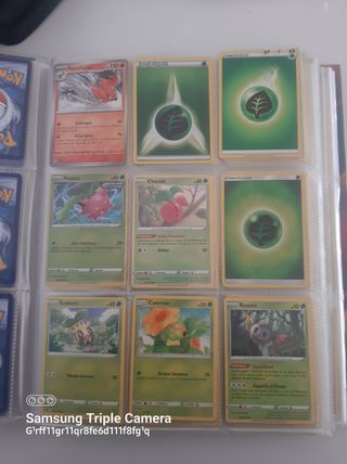 Cartas pokemon