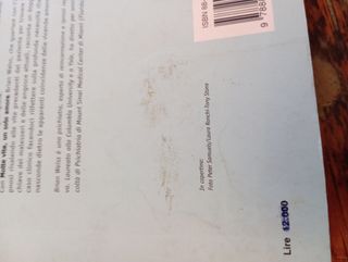 Molte vite, un solo amore