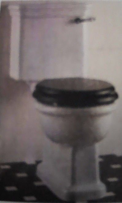 DEVON TAZA Y TANQUE (SIN MECANISMO)