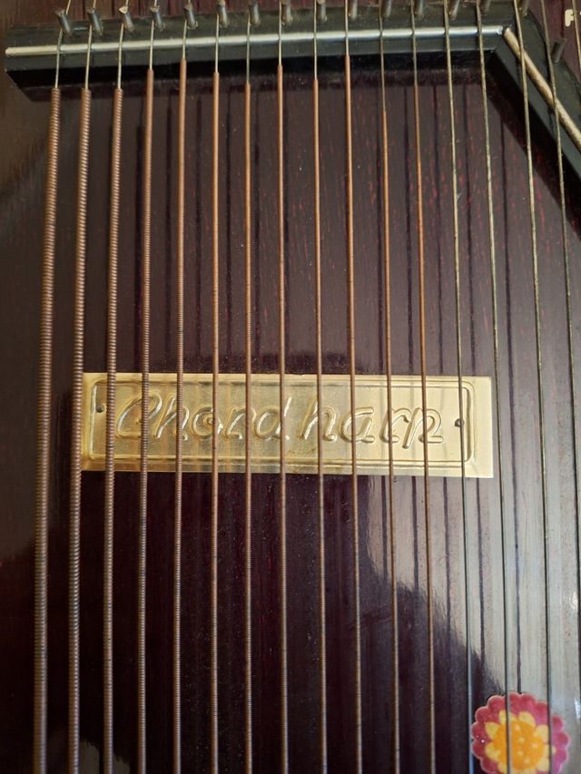 Citara en perfecto estado