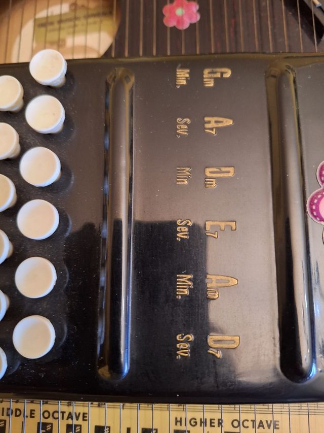 Citara en perfecto estado