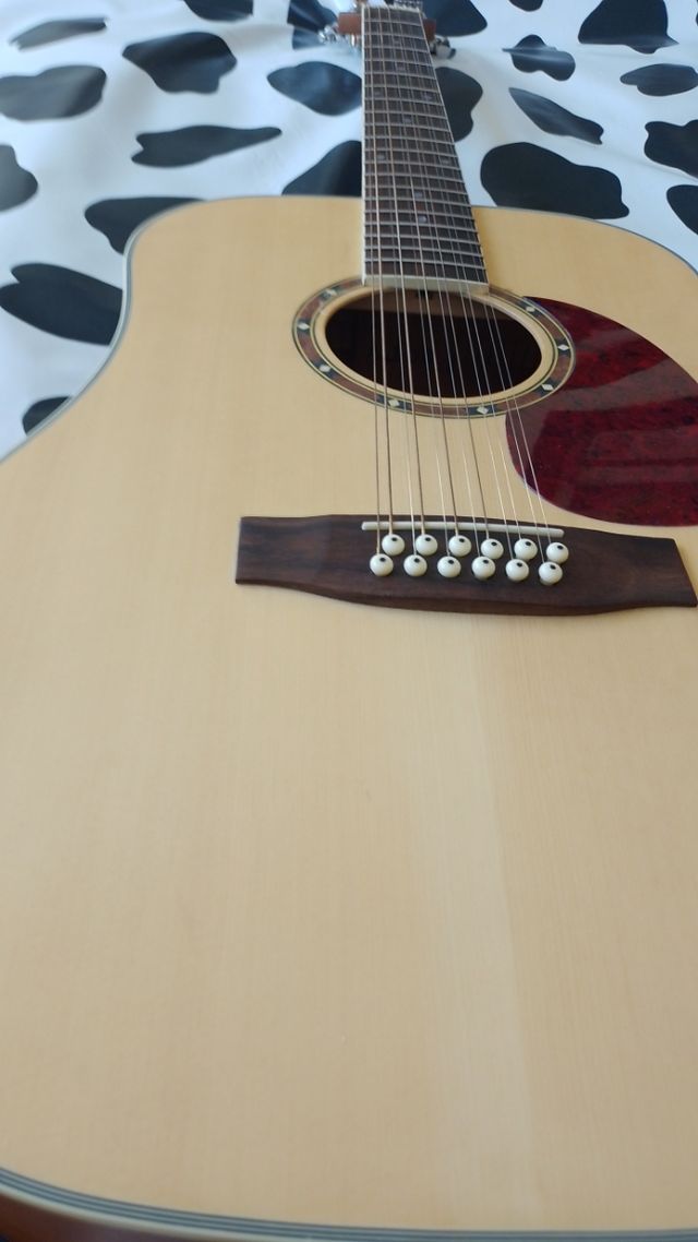 Guitarra Acústica 12 Cuerdas