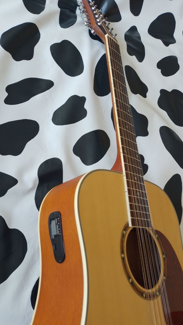 Guitarra Acústica 12 Cuerdas