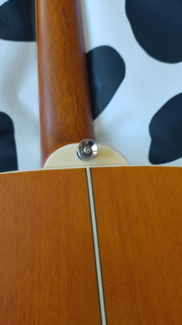 Guitarra Acústica 12 Cuerdas