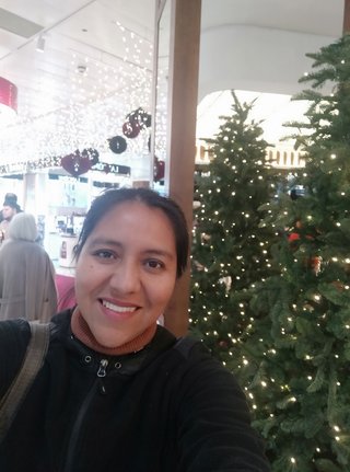 Limpieza y Cuidados