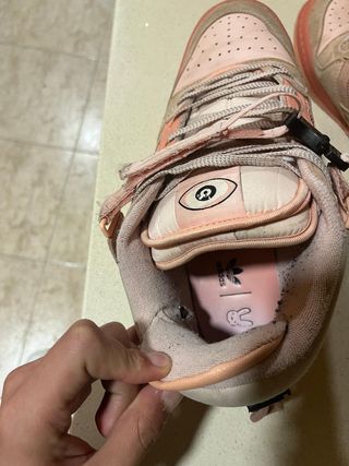 Bambas, forum bad bunny