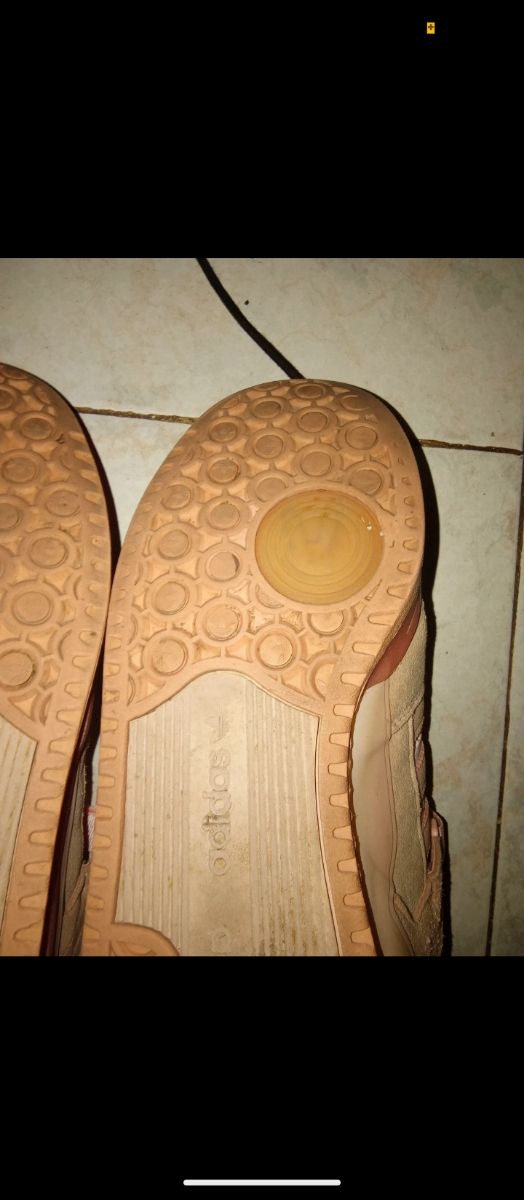 Bambas, forum bad bunny