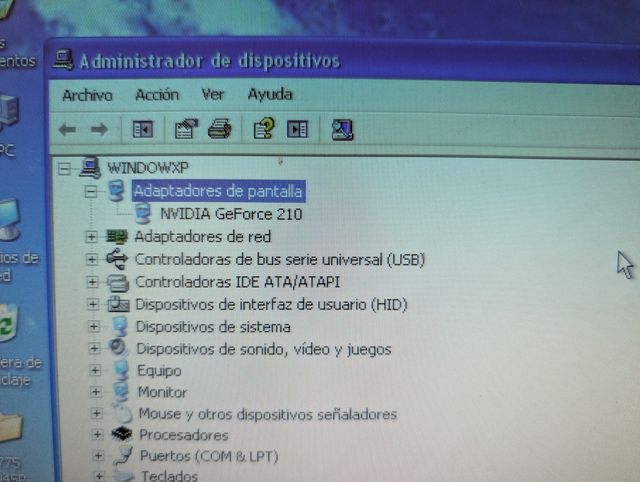 tarjeta de video PCI-E GEFORCE N210 512mb
