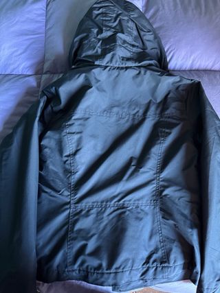 Abrigo Hollister Mujer