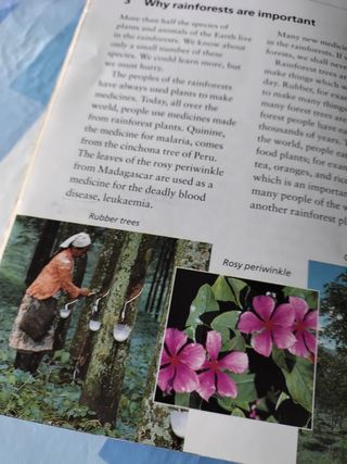 Oxford Bookworms Factfiles: Stage 2: 700 Headwords Rainforests