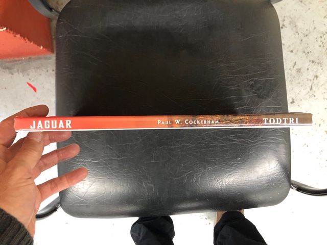 Jaguar / Paul W. Cockerham / Spirit of the cat