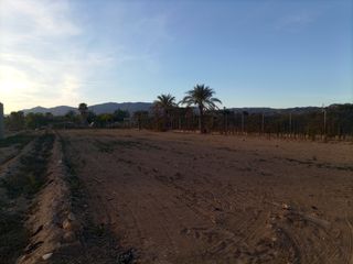 Terreno parcela finca alquiler ,matola