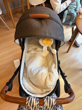 Carrito de paseo y capazo