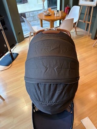 Carrito de paseo y capazo