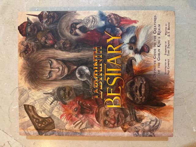 Libro de la pelicula Dentro del laberinto