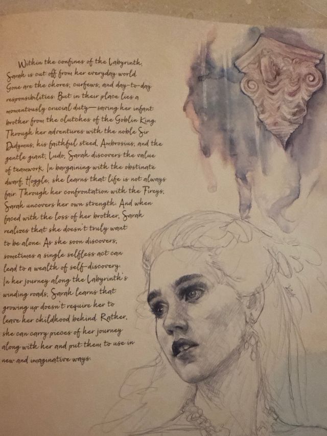 Libro de la pelicula Dentro del laberinto