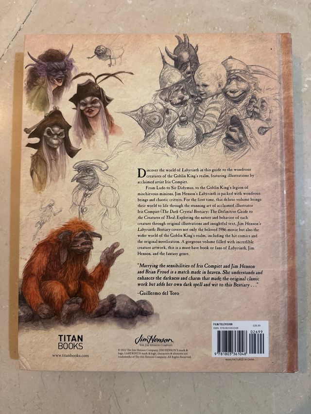 Libro de la pelicula Dentro del laberinto