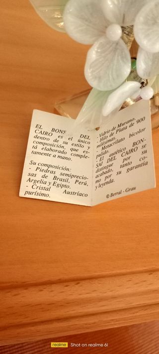 Bonsai del Cairo auténtico