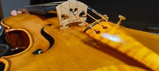 Violín profesional 