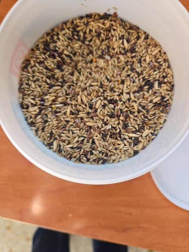 Artículos de mascotas baratos