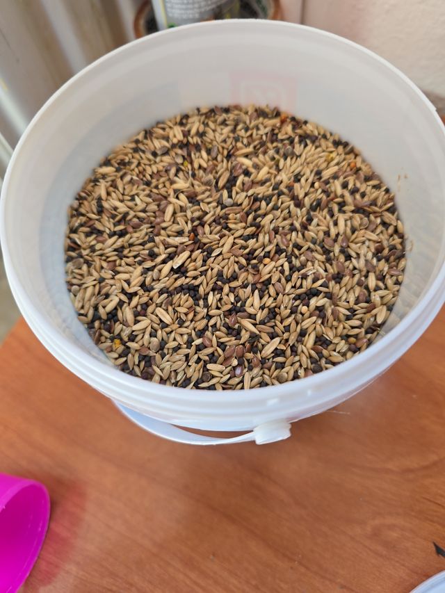 Artículos de mascotas baratos