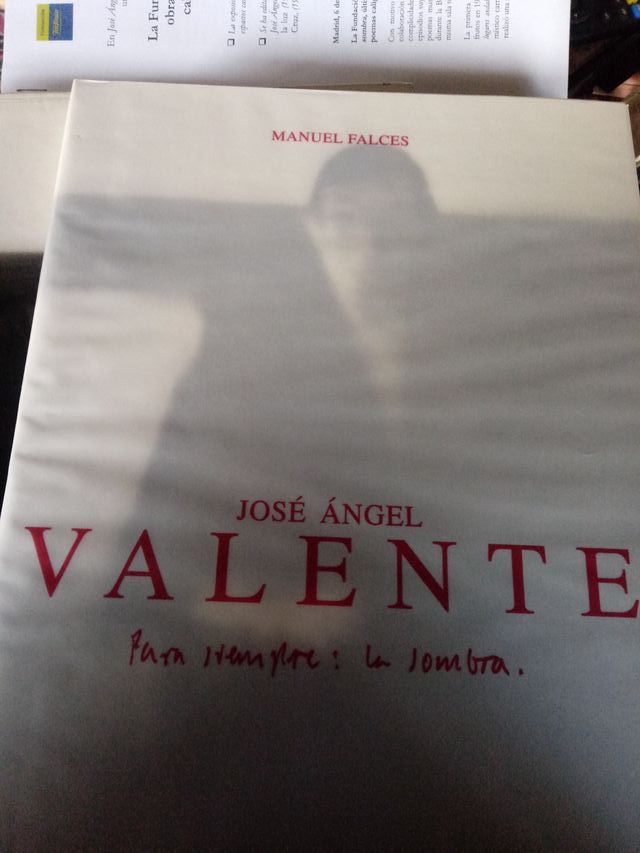 MANUEL FALCES José Ángel Valente siempre sombra