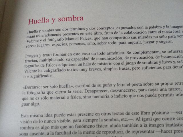 MANUEL FALCES José Ángel Valente siempre sombra