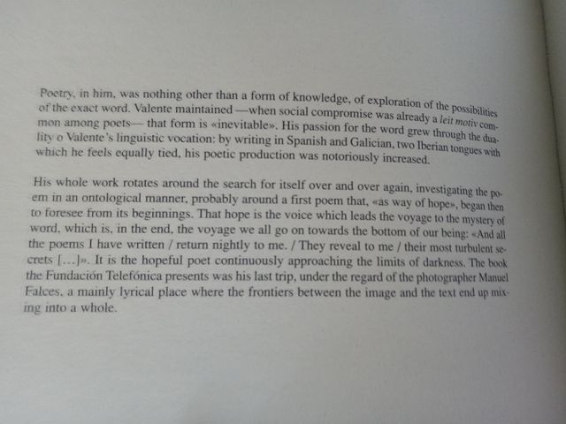 MANUEL FALCES José Ángel Valente siempre sombra