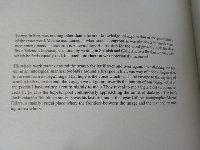 MANUEL FALCES José Ángel Valente siempre sombra