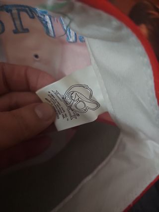 Gorra Bandera Needeelands Holanda