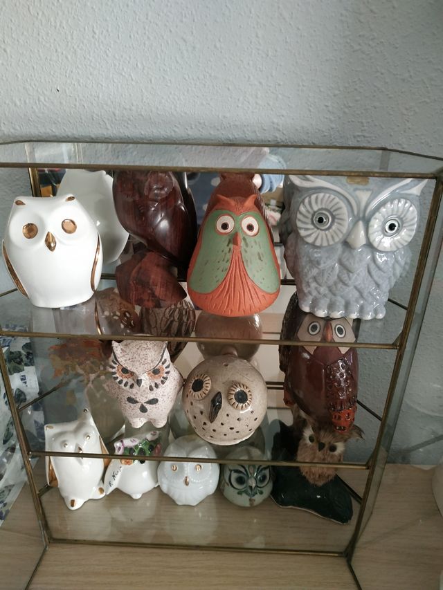 Colección de Búhos