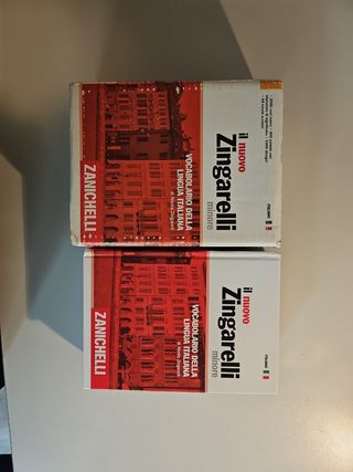 Il nuovo Zingarelli minore. Vocabolario della lingua italiana