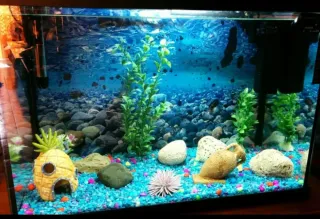 Kit Decoración para Acuarios