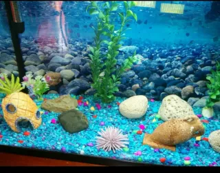 Kit Decoración para Acuarios