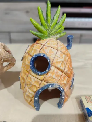 Kit Decoración para Acuarios