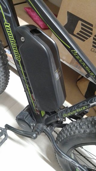 Bici elettrica LIMITED edition Lombardo 