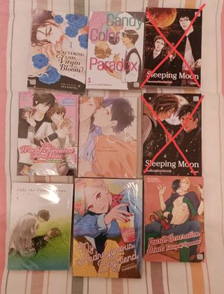 Mangas variados INGLÉS