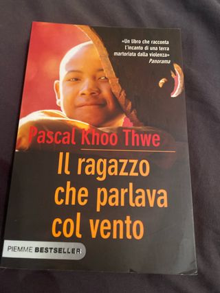 Il ragazzo che parlava col vento