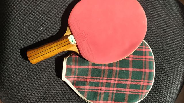 PALA DE PING PONG NB