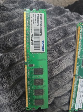 Memoria ram ddr2 pc2-6400 cl6 2GB