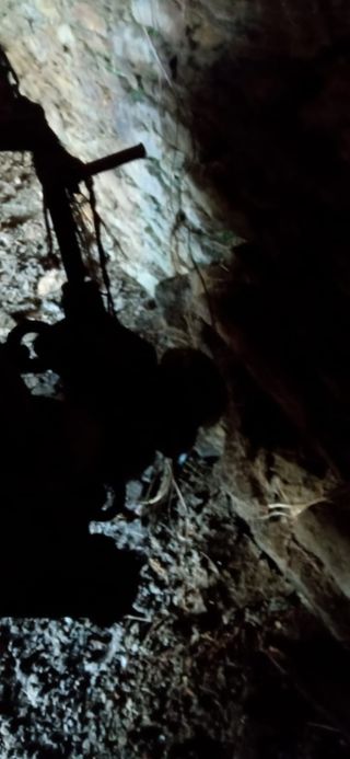 Cisterna para bebedero y purin