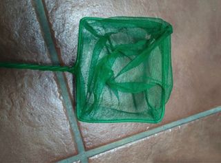 Acuario y accesorios