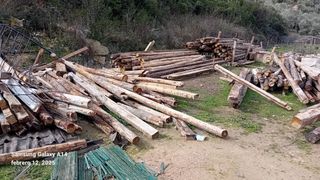 Machinas y vigas de madera