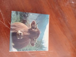 Puzzle obsequio nestle