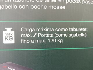 Camilla Taller 2 en 1 PARKSIDE