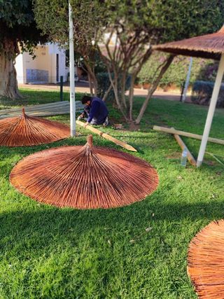 Sombrillas de carri verzo mimbre