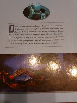 Harry Potter: los archivos de las películas 1